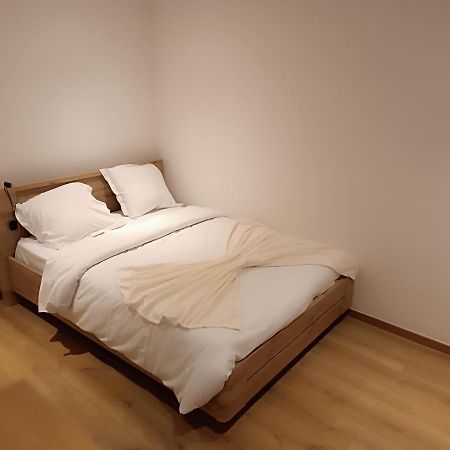 Fribourg Apartman Colmar Kültér fotó