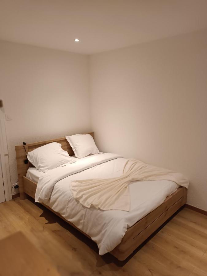 Fribourg Apartman Colmar Kültér fotó