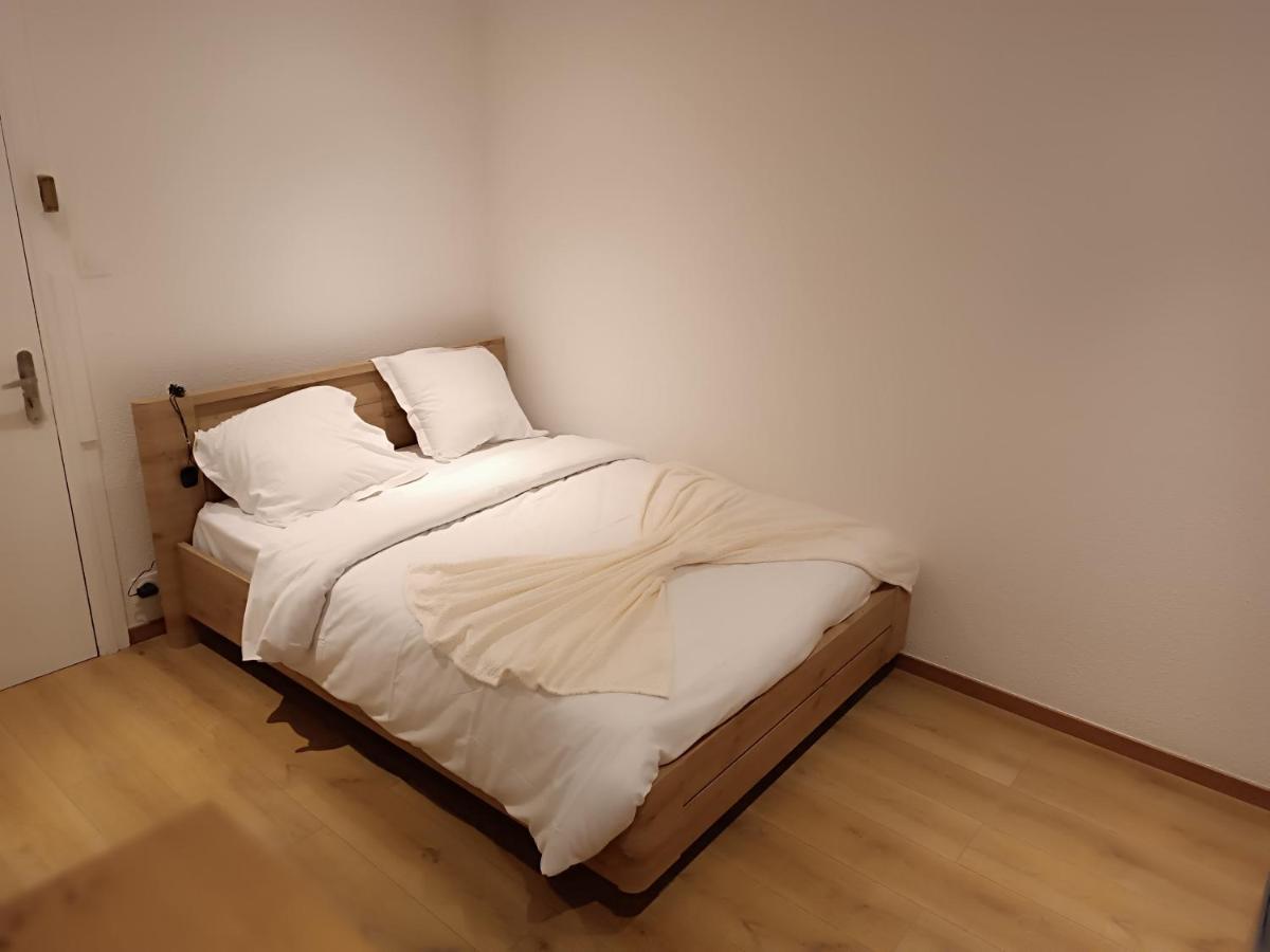 Fribourg Apartman Colmar Kültér fotó